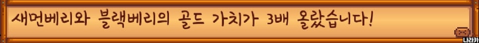새먼베리와 블랙베리 값이 3배가 됐다는 안내예요