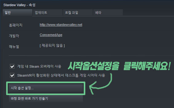 스팀 속성 창의 시작 옵션 설정 자리예요